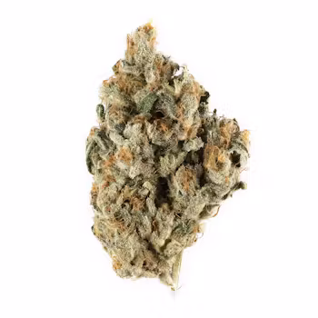 Very Berry Haze | 100% Sativa Strain | 25% THC | Sweet & Uplifting